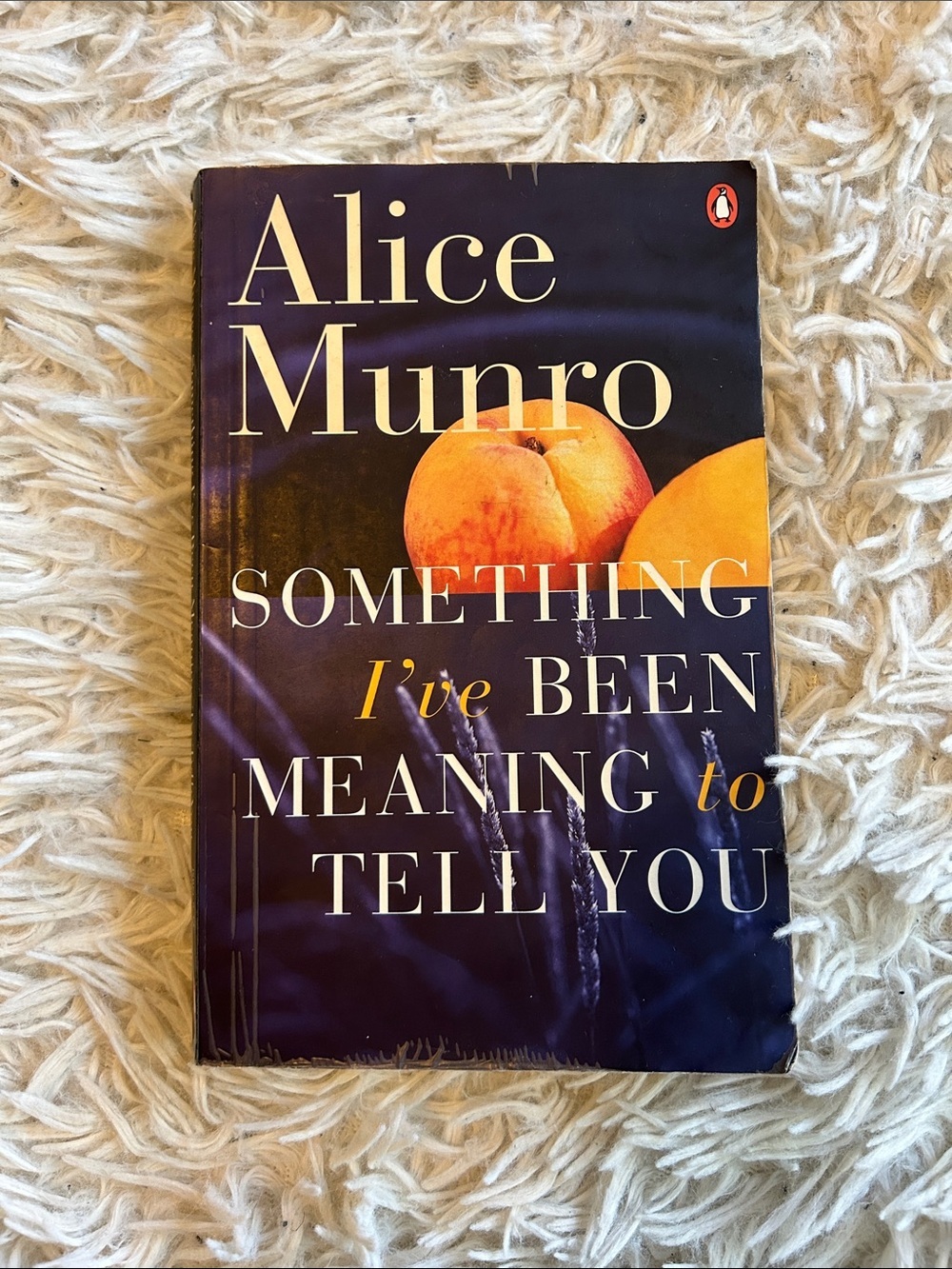 Something I’ve Been Meaning to Tell You by Alice Munro